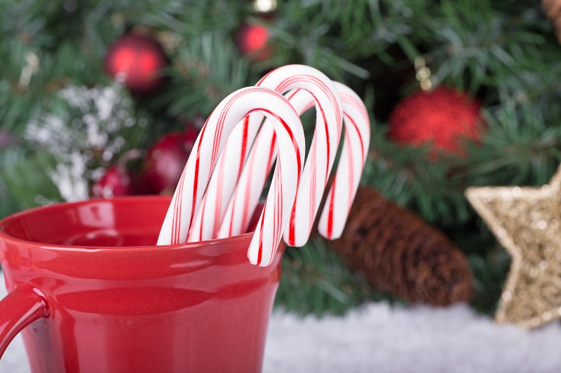 Candy Canes in a Cup
